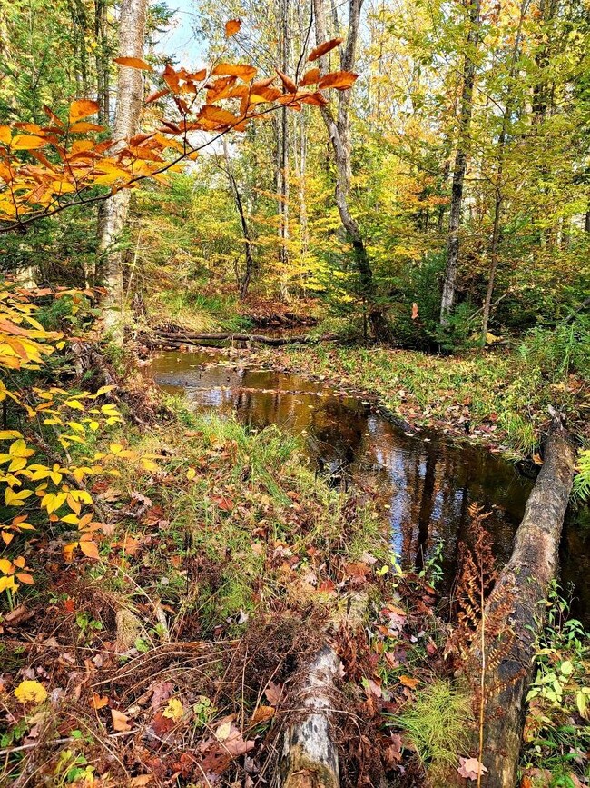 0 Cherwinski Rd, Vanderbilt, MI 49795 - photo 7