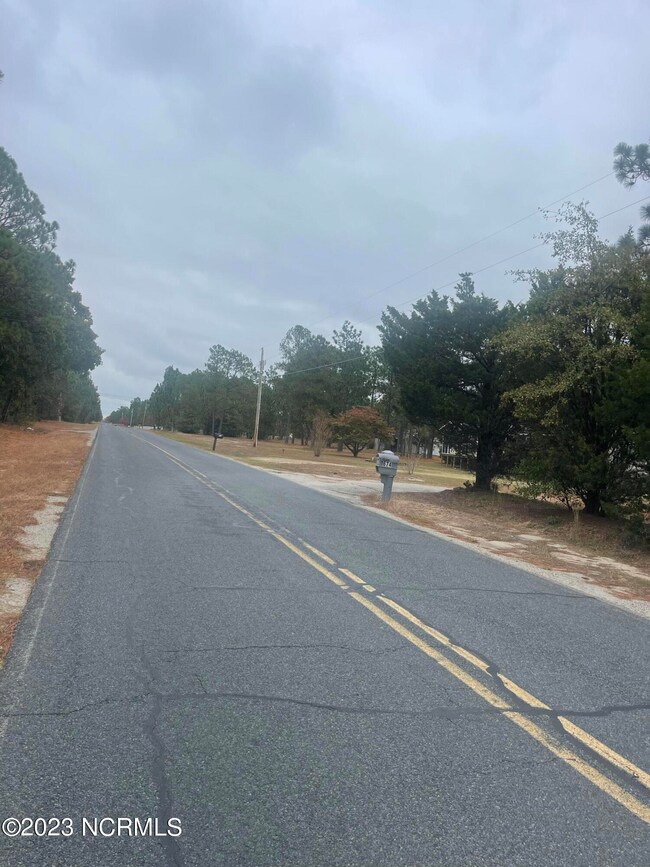 0 Boyd Lake unit 100412372, Hamlet, NC 28345 - photo 4