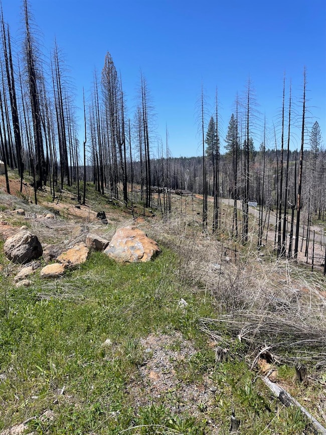 5011 Storybook Ct, Grizzly Flats, CA 95636 - photo 4