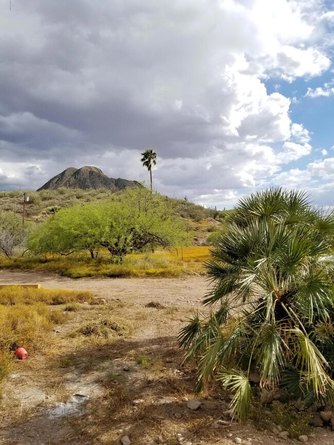 20190412_155154