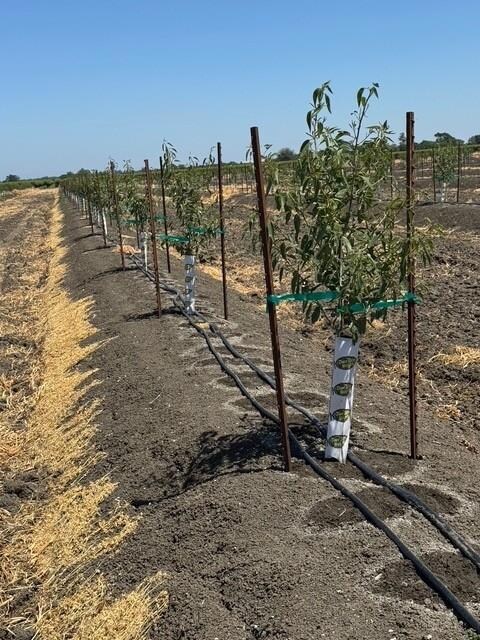 0 Clarksburg Rd unit 224125877, Clarksburg, CA 95612 - photo 7