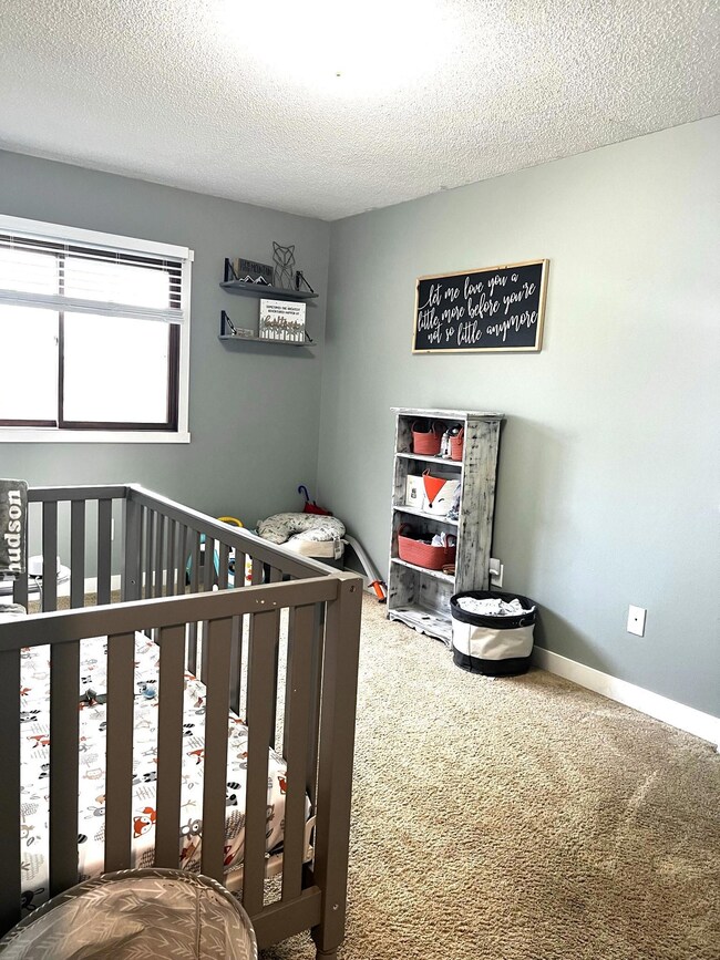 225 4th St NE, Plainview, MN 55964 - photo 6