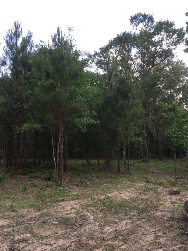 26164 Grand Pines Rd, Magnolia, TX 77355 - photo 6