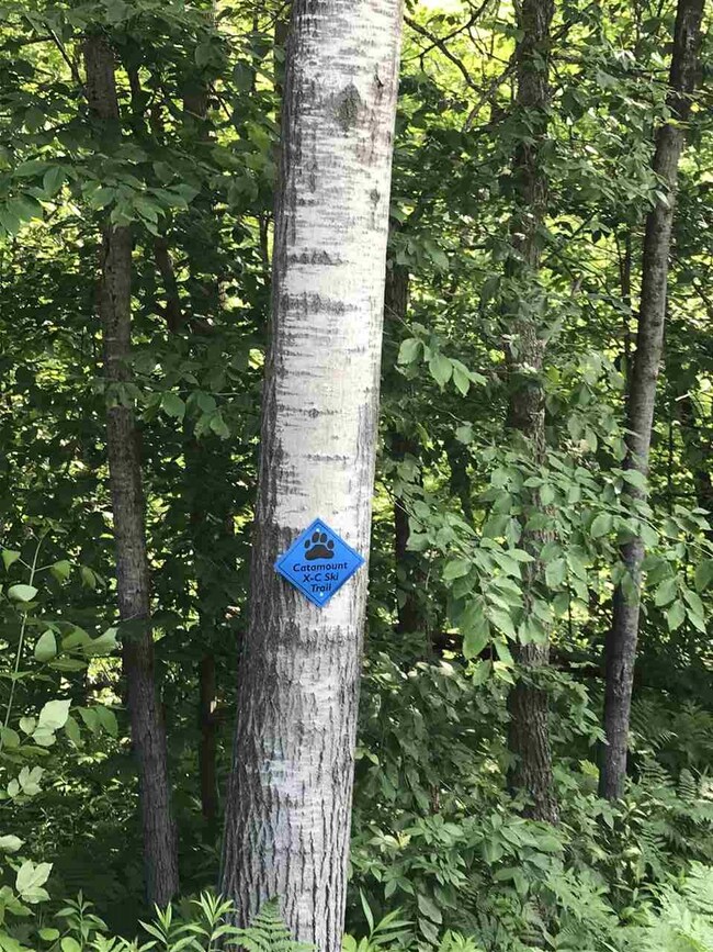 7748 Vermont 100, Readsboro, VT 05350 - photo 5