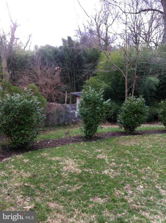 4112 Edgevale Ct, Chevy Chase, MD 20815 - photo 5