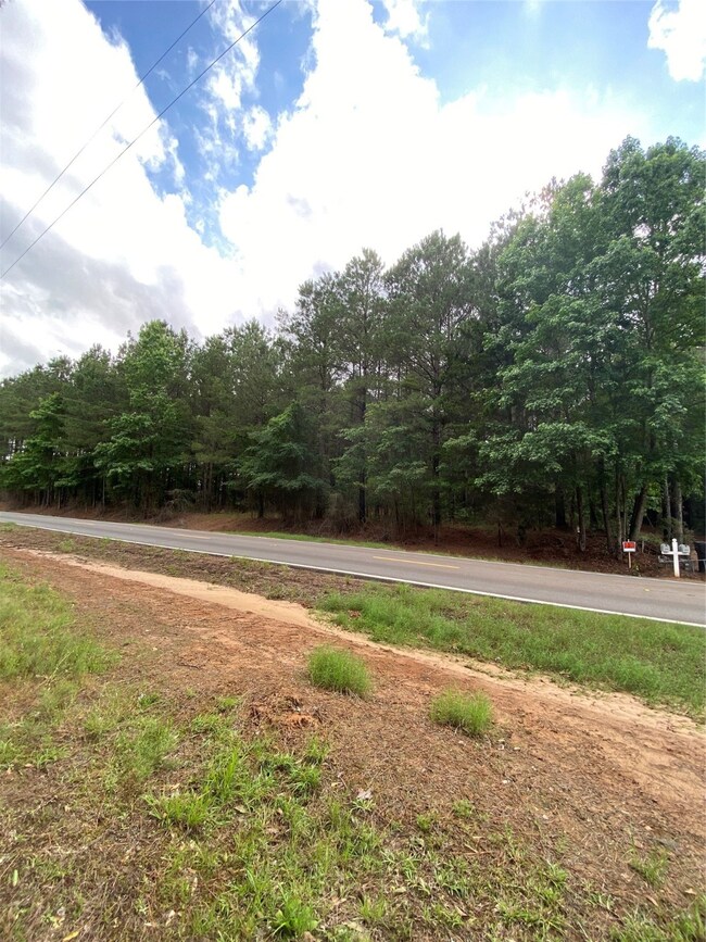 000 Old Plain Dealing Rd, Plain Dealing, LA 71064 - photo 6