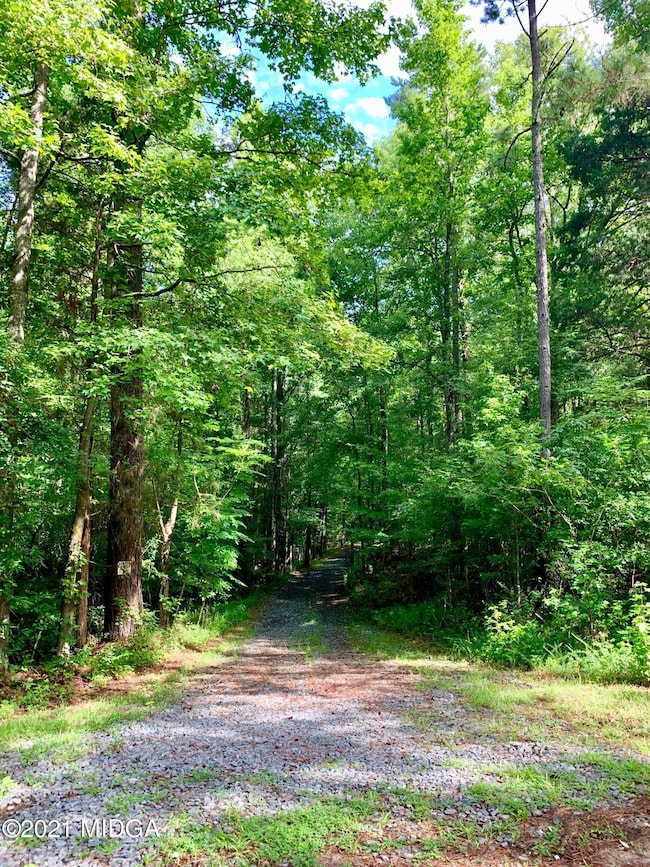 0 Watson Rd unit M161519, Forsyth, GA 31029 - photo 3