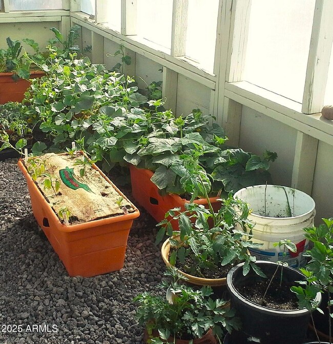 RSR300.greenhouse
