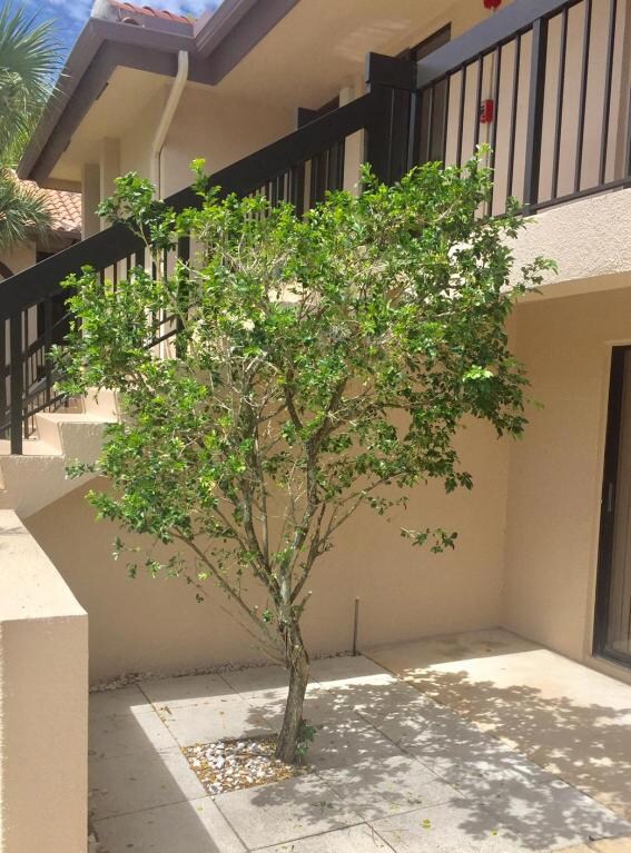 400 Club Cir unit 1040, Boca Raton, FL 33487 - photo 2