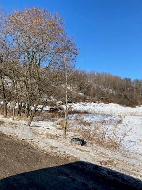 - Stony Fork Creek Rd, Wellsboro, PA 16901 - photo 7