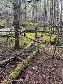 Granite Creek Lot 8