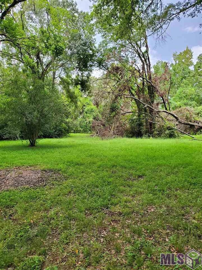 31460 La Hwy 16, Denham Springs, LA 70726 - photo 4