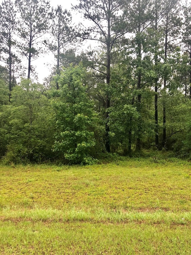 0 Chieftain Trail unit 25907, Dublin, GA 31021 - photo 3