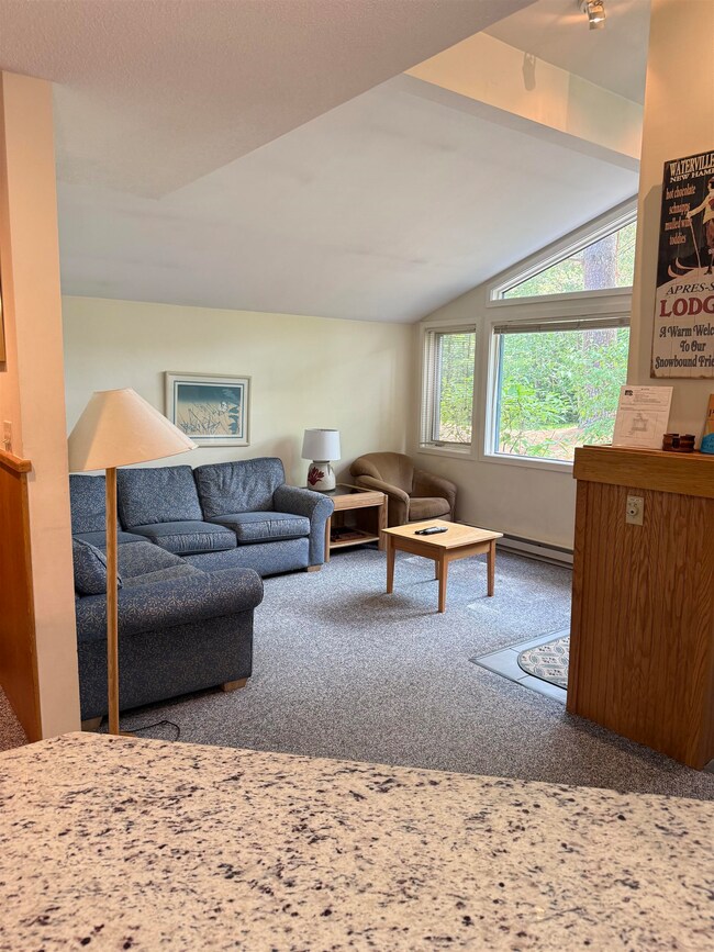 9 Mountain Sun Way unit 20C, Waterville Valley, NH 03215 - photo 4