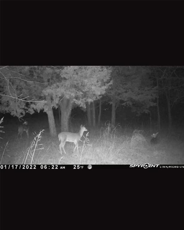 918 Lakewood Rd, Denison, TX 75020 - photo 4