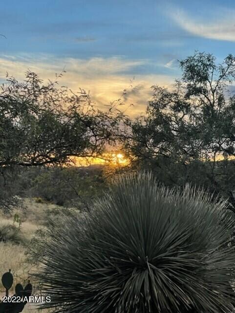 790 2 O'Clock Hill