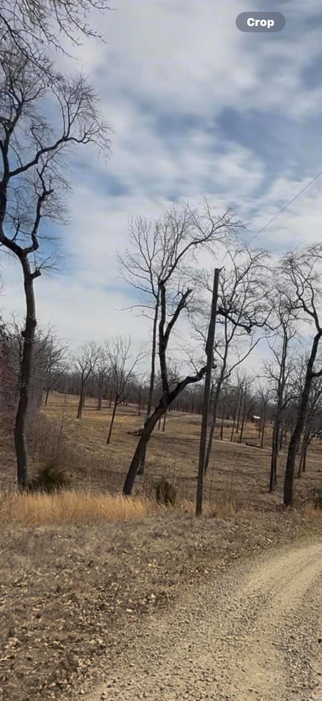 43 Megan Ln, Conway, AR 72032 - photo 3