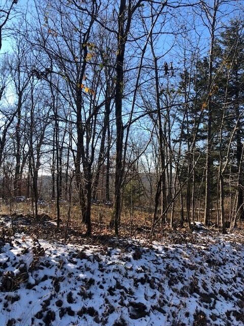 11763 Bunyard Rd, Winslow, AR 72959 - photo 4