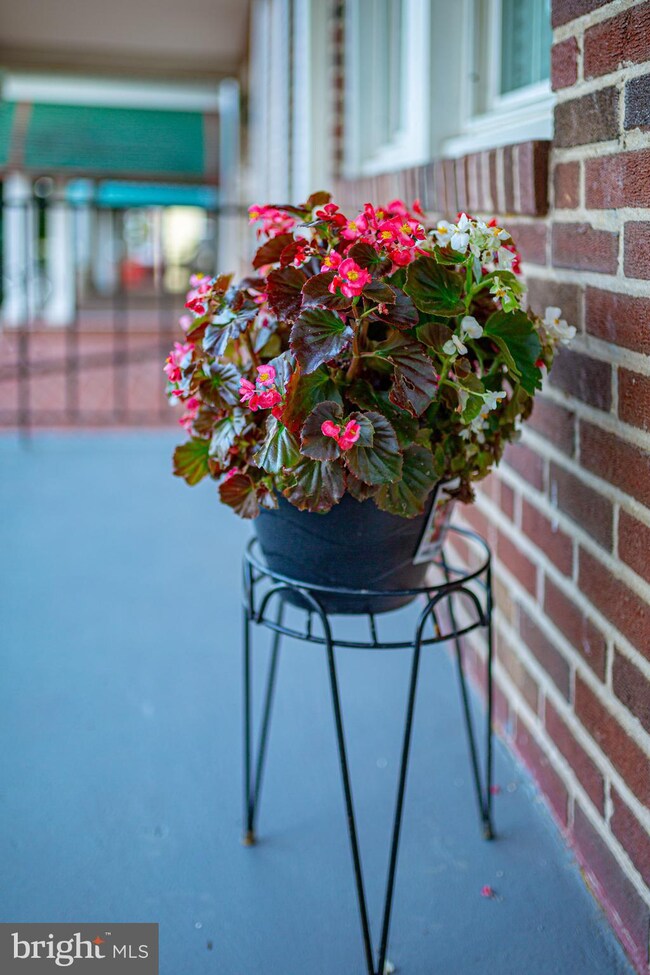 606 N Augusta Ave, Baltimore, MD 21229 - photo 3