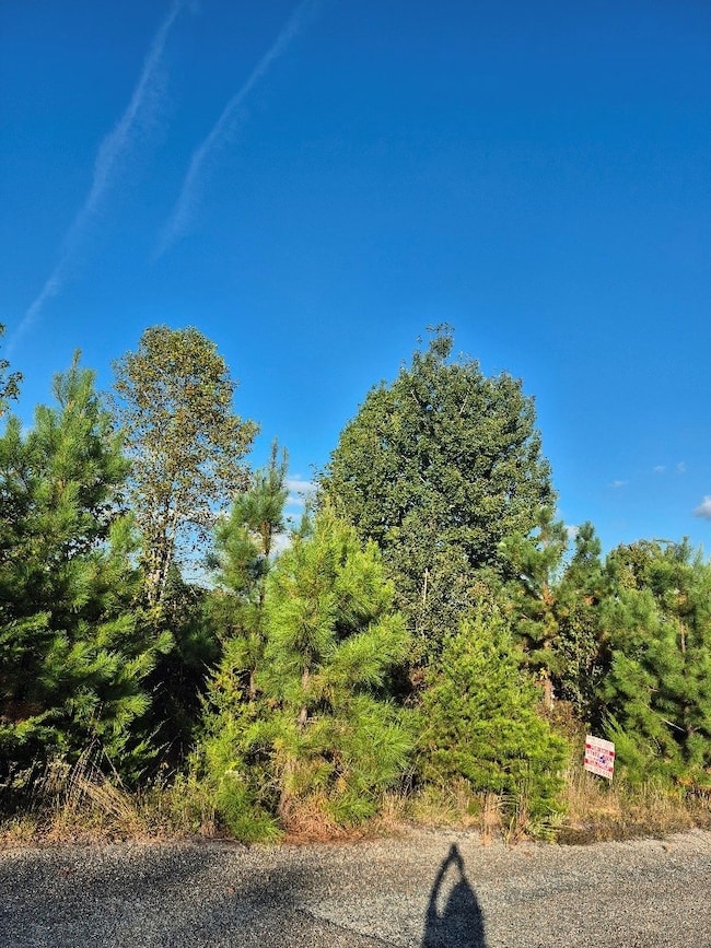 0 Fort Dr unit 16 57759, Pamplin, VA 23958 - photo 3