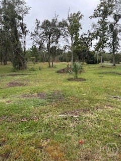 1179 River Plantation Place NE, Townsend, GA 31331 - photo 2