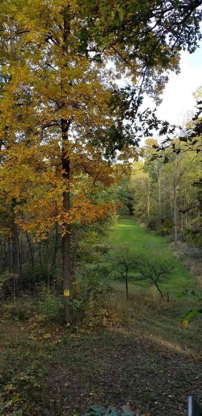 Groomed Trail