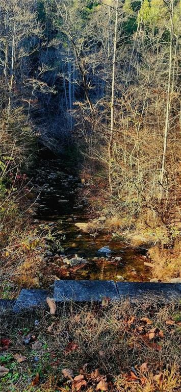 561 Parable Ct, Ranger, GA 30734 - photo 6