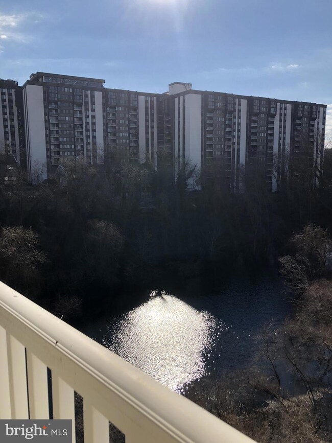 4550 Strutfield Ln unit 2417, Alexandria, VA 22311 - photo 4