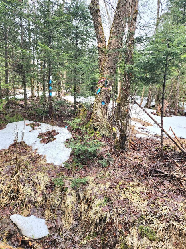 2 Diamond Pond Rd unit B, Stewartstown, NH 03576 - photo 2