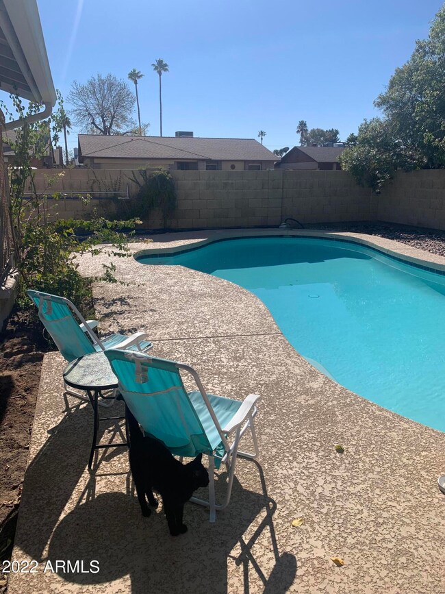 emersonpool2