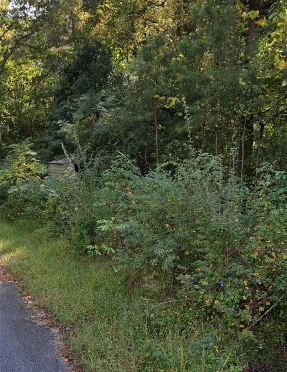 188 Eidson St SE, Acworth, GA 30101 - photo 4