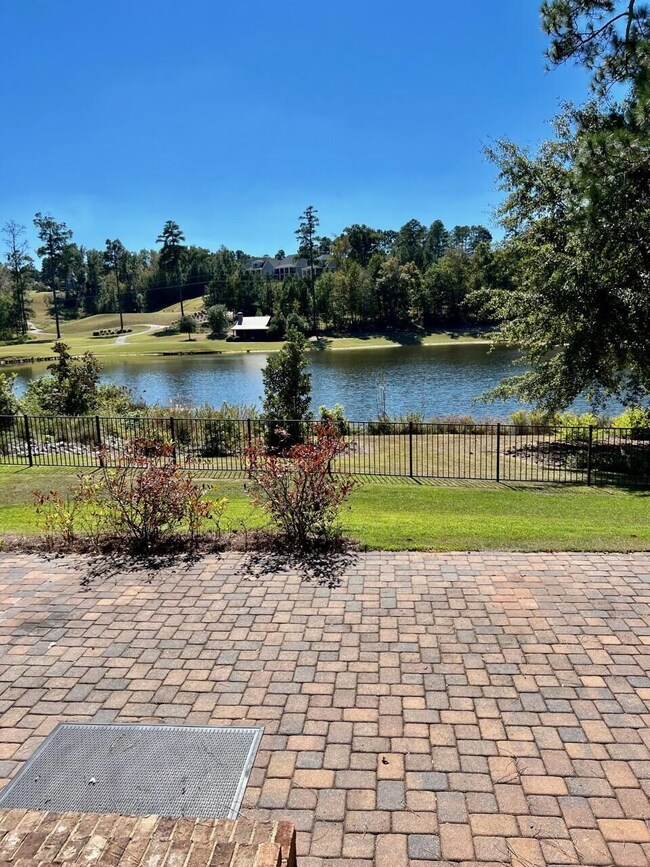 View from patio