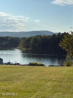 61 Tor Ct, Pittsfield, MA 01201 - photo 3