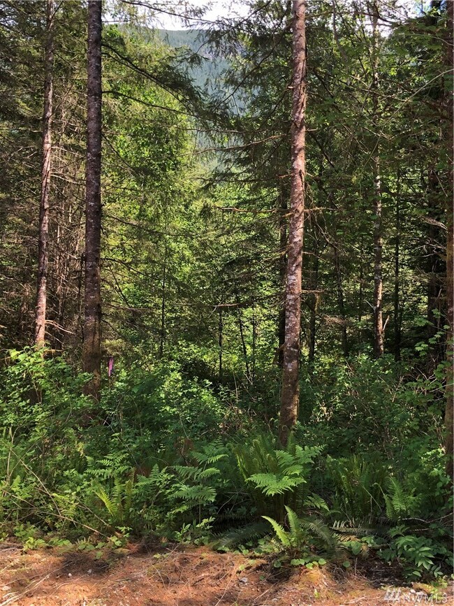 21312 268th Place NE, Arlington, WA 98223 - photo 3