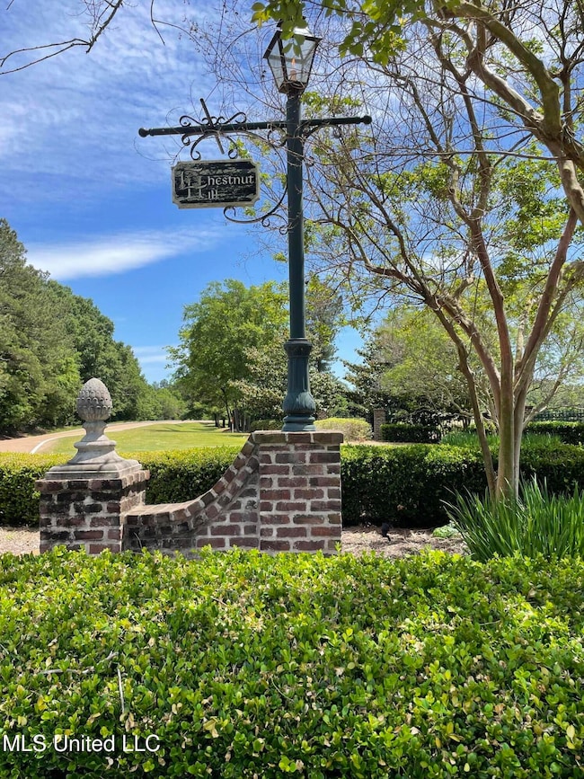 0 Chestnut Hill Rd unit 4119139, Flora, MS 39071 - photo 4