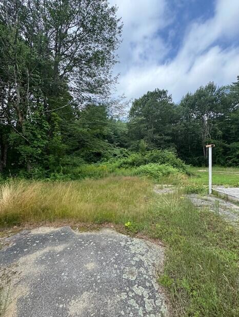 Back of Driveway Pic