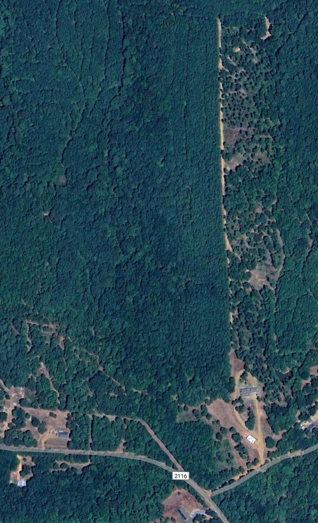 0 County Road 2117, Douglassville, TX 75560 - photo 2