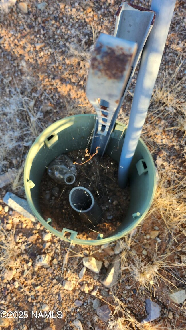 20231102_074228-scaled