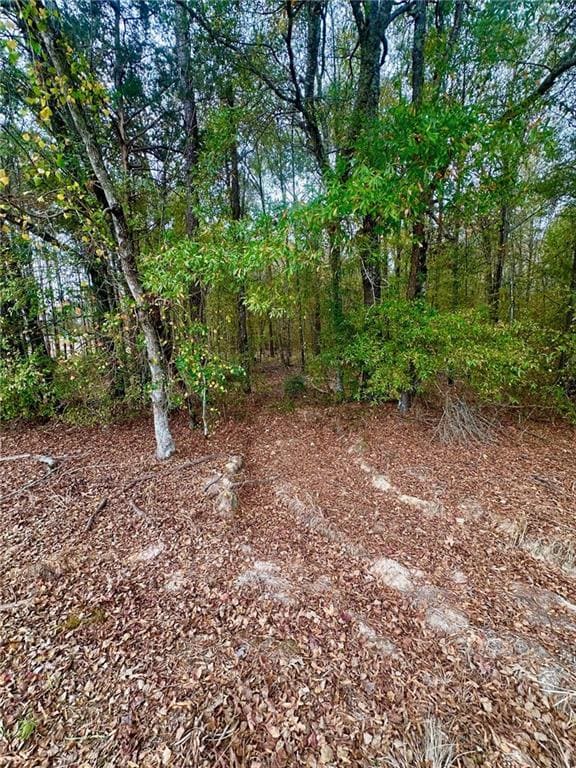 0 Highway 454 None, Pineville, LA 71360 - photo 4