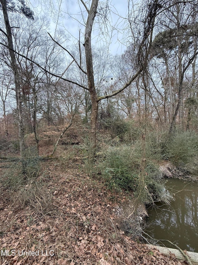 01 N Jordan St, Carthage, MS 39051 - photo 2