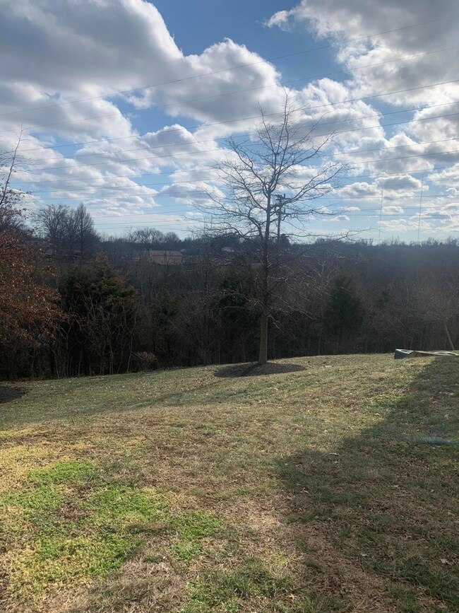 6055 Boulder View, Cold Springs-Highland Heights, KY 41076 - photo 5