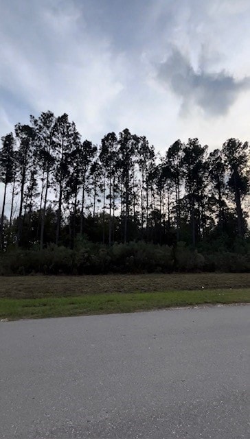 2141 Road 660, Dayton, TX 77535 - photo 5