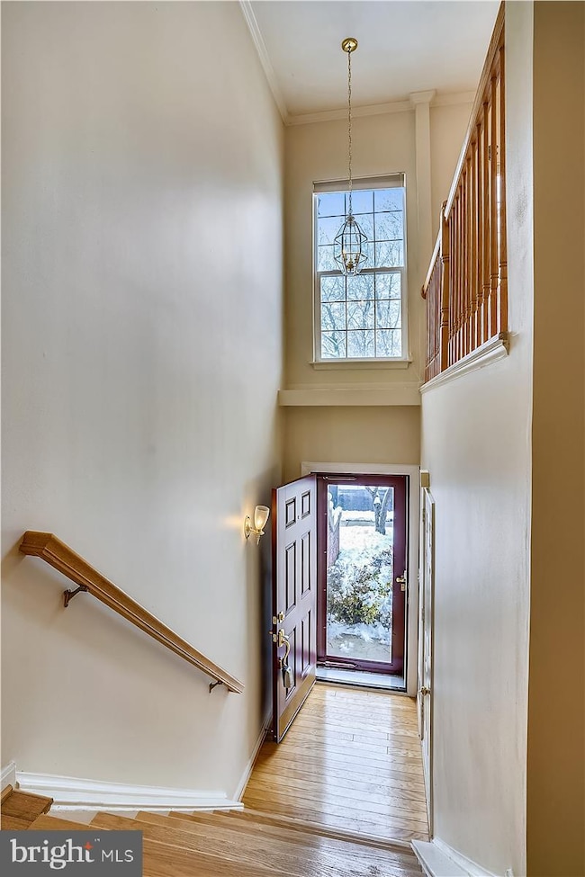 5302 Scottswood Ct, Alexandria, VA 22315 - photo 7