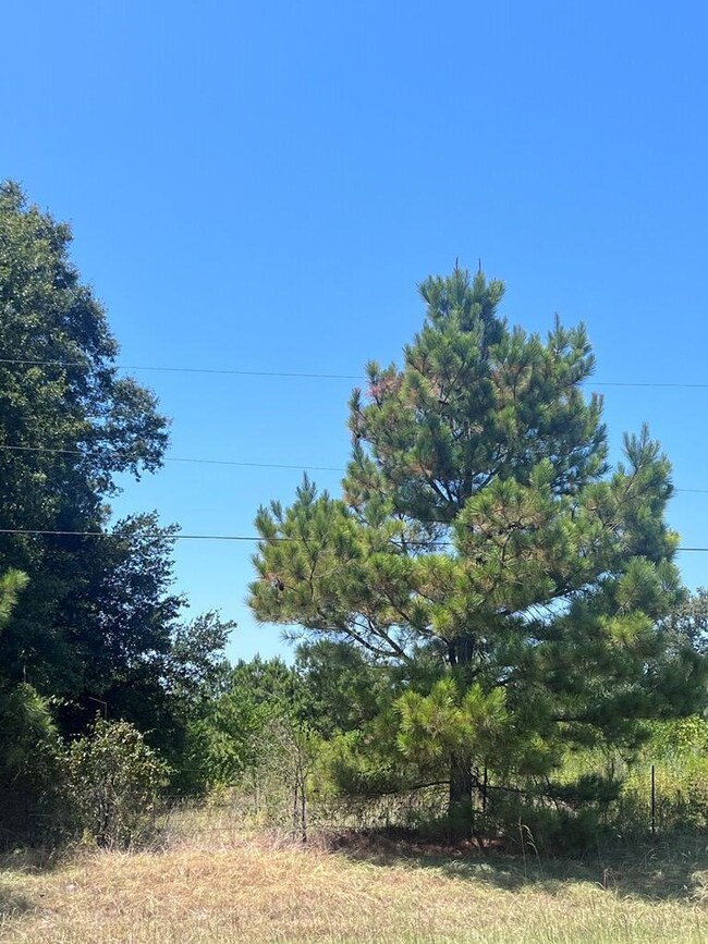 335 Fm 3258, Lufkin, TX 75904 - photo 2