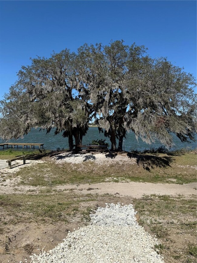 Lake Olivia