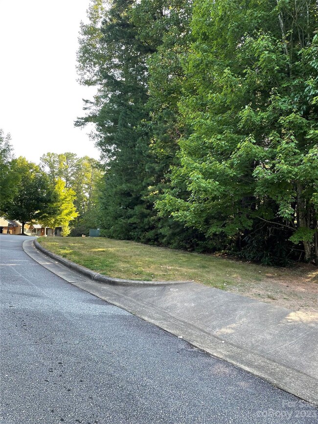 V48&49 Camptown Rd unit V48&49, Brevard, NC 28712 - photo 7