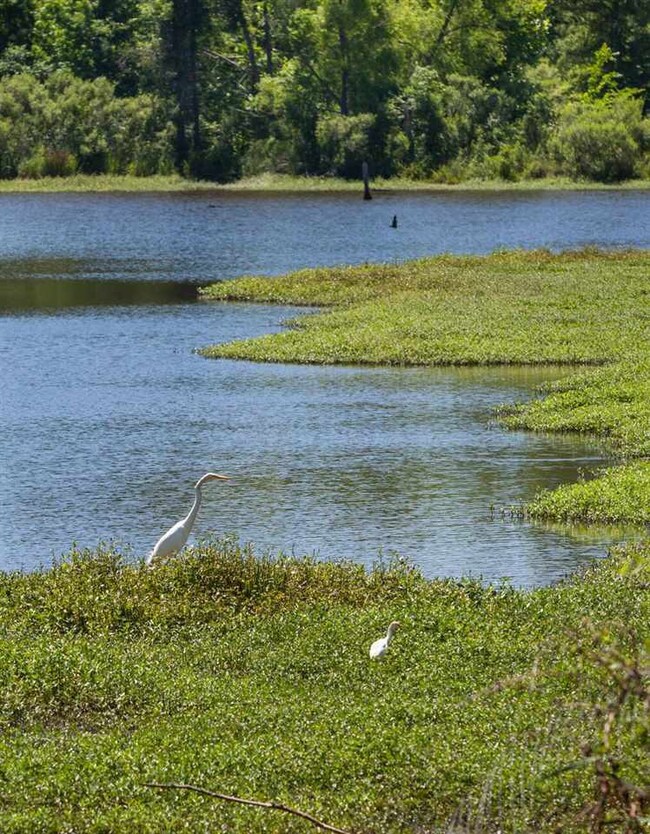 620 Echo Cove, Brandon, MS 39042 - photo 7