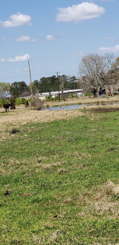 716 Augusta Rd, Edgefield, SC 29824 - photo 6