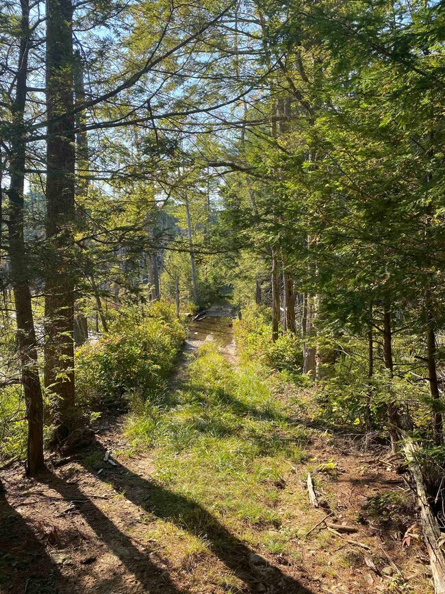 00 Dump Rd unit 20, Chester, NH 03036 - photo 5