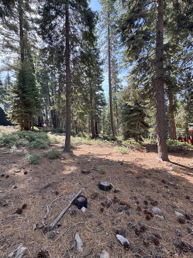 5255 N Lake Blvd, Carnelian Bay, CA 96140 - photo 7